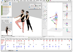 DanceForms graphical user interface